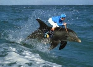 sognare cavalcare delfino